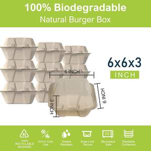 Plateaux ovales et grands plateaux de service en bagasse de fibres naturelles pour buffets et repas familiaux - Product Image 2