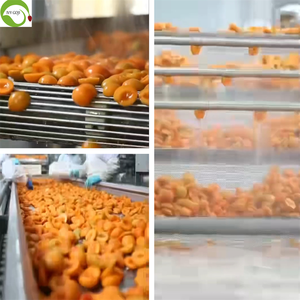 High Quality Sweet Bulk <strong>Dried</strong> <strong>Apricots</strong> From China Premium <strong>Dried</strong> Fruit - Product Image 4
