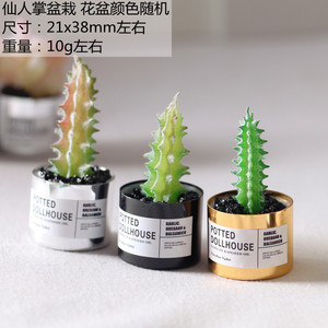 Modèle miniature <span class=keywords><strong>de</strong></span> plante succulente <span class=keywords><strong>en</strong></span> métal pour <span class=keywords><strong>maison</strong></span> <span class=keywords><strong>de</strong></span> poupée, matériau artisanal Ob11 GSC - Product Image 6