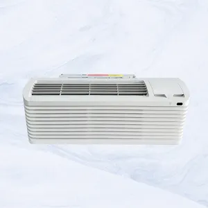Ac sleeve wall unit Amana 15000BTU riscaldatore elettrico R410A 60Hz USA e Canada inverter pompa di calore ptac