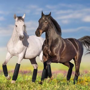 Botas Protectoras para Caballos de Neopreno para Patas Delanteras y Traseras, Equipo Ecuestre - Product Image 2