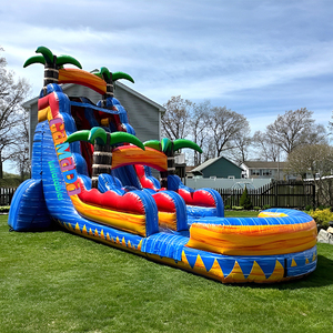 Toboggan aquatique gonflable commercial en PVC avec piscine et château gonflable, double piste, pour la maison et la <span class=keywords><strong>location</strong></span> intérieure/extérieure - Product Image 4