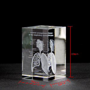 Bác sĩ của lưu niệm cơ quan con người hệ thống hô hấp mô hình hiển thị tinh thể 3D laser khắc Glass cube bán buôn - Product Image 2