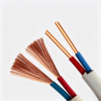 Câble plat à deux conducteurs BVVB-2*2.5/4 mm² à faible perte, norme nationale chinoise, pour la distribution d'énergie principale des immeubles de bureaux