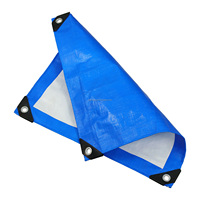 Bâches résistantes de feuille de bâche de HDPE couverture imperméable de camion de couleur bleue de 9ft et de 12ft pour le style simple de tente