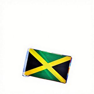 Drapeaux de pays des Caraïbes personnalisés en polyester double face, 20 pièces, fanions de 30 pieds pour le carnaval et les festivals internationaux - Product Image 1