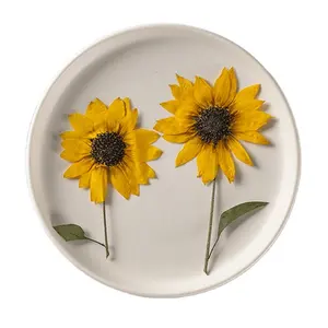 Common Sunflower With Branches Scrapbooking Epoxy Resin Eco-friendly Real Pressed Flower DIY