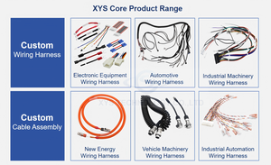 Produsen Kabel Kustom Perakitan Kabel Harness Industri Kustom Kabel Sinyal Tegangan Rendah Loom Kabel Harness Multi-inti - Product Image 2