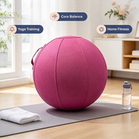Housse de protection antidérapante pour ballon de yoga de 65 cm, en tissu lavable, avec poignée, pour Pilates et entraînement à domicile