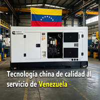 Générateur diesel à châssis ouvert Weichai Ricardo 250 kW 500 kVA 500 kW pour entreprises, marque américaine, Venezuela