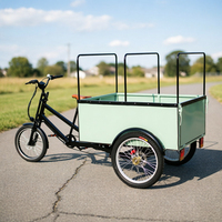 Scooter électrique 48V 850W à chargement arrière, tricycle de livraison à 3 roues avec boîte, vélo cargo électrique pour livraison, prix d'usine