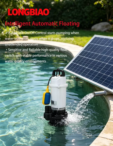 <span class=keywords><strong>Pompe</strong></span> solaire flottante JQDX 800W avec interrupteur flottant, <span class=keywords><strong>pompe</strong></span> à eau solaire submersible à haut débit pour étang, <span class=keywords><strong>piscine</strong></span>, jardin, irrigation - Product Image 2