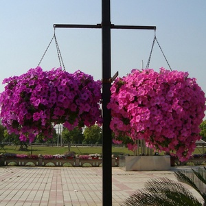 Pot de fleurs suspendu, pot de jardin suspendu, pot de plantes suspendu, panier de jardin suspendu en plastique, pot de fleurs suspendu en plastique de Chine - Product Image 3