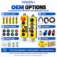 Station de commande suspendue XDL10 IP65 pour grue de levage, boîtier de commande à boutons poussoirs 2-6 boutons 8A avec interverrouillage, pré-câblé OEM