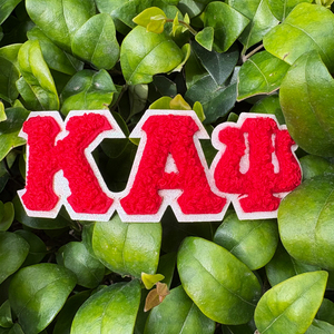 Индивидуальные нашивки с греческими буквами, вышитые на заказ, нашивки с буквами Zeta Phi Beta Sorority, нашивки из синели для одежды - Product Image 2