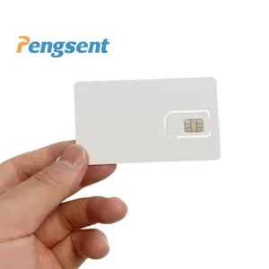 Pengsent Global M 2M Simkaart Chip Leveren Geschikt Verschillende Iot Devices Sim Card