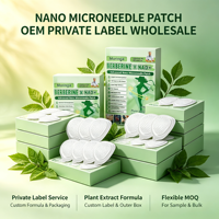 Patch Corporel Avancé Nano-Microneedle Moringa Berbérine NAD+ Complexe 10-en-1 Doux pour la Peau, Autocollant Portable Transdermique pour Soins Corporels