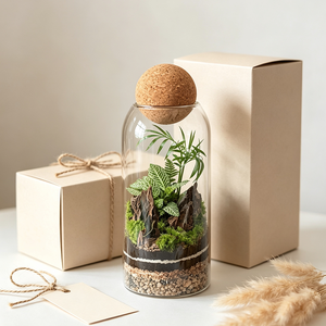 <span class=keywords><strong>Vase</strong></span> carré transparent en verre pour plantes succulentes d'intérieur, décoration de la maison, pots et jardinières pour le <span class=keywords><strong>jardin</strong></span> - Product Image 3