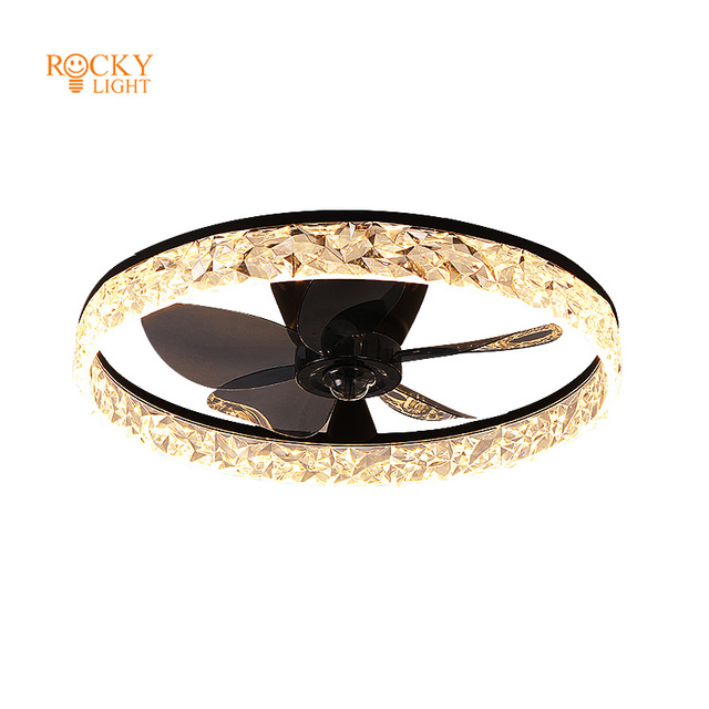 Fan Ceiling Light