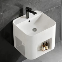 Évier de laboratoire sanitaire combiné avec étagère, porte-savon et robinet, pour extérieur, portable, pour buanderie