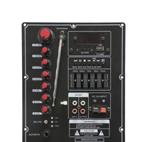 Carte d'amplification audio DC12V avec 8 boutons de réglage du volume, fonction d'enregistrement sans fil, prise micro/guitare, antenne FM télescopique