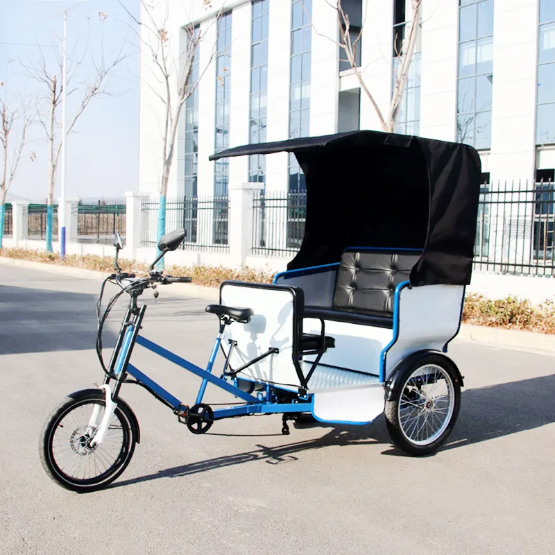 Europa 5 asientos eléctrico Pedicab Rickshaw tres ruedas bicicleta Taxi con Motor de 800W Triciclo de pasajeros para hacer turismo