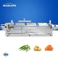 Hete verkoop transportband voedsel noedels vlees stoomkookmachine groente blanchineermachine tunnelstoomoven