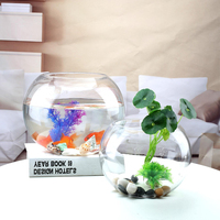 Vase à poisson en verre bol rond Terrarium Globe Vase à fleurs pièce maîtresse