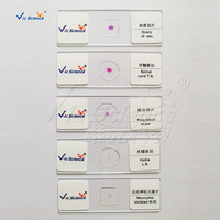 15pcs Zoology Kids Prepared Microscope Slides Education Animal Paramecium Entomology Bee Prepared Specimen