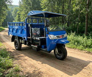 Tricycles diesel haute puissance et véhicules agricoles pour la construction, utilisés pour le transport de marchandises sur de courtes distances au quotidien - Product Image 1