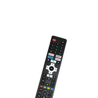Control Remoto Universal OEM de Fábrica Hostrong BLAUPUNKT 32WGC5000 AN4806 para TV LED Inteligente LCD IPTV Compatible con Personalización
