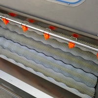 Industriële borstelrolwasmachine elektrische aardappel- en groenteschiller voor de voedselverwerkingsindustrie