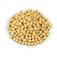 Graines de soja jaunes en vrac, soja de première qualité, nouvelle récolte, non-OGM, pour la cuisson, la germination et la transformation alimentaire
