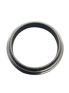 Joint anti-poussière hydraulique à double étage en caoutchouc Castas K10 W17/ADA pour cylindre à double lèvre - Product Image 4