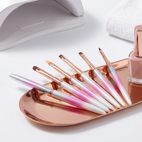 Ensemble de pinceaux professionnels de luxe pour nail art, logo personnalisé, dégradé rose, nylon, manche métallique ovale, pour salon de manucure, peinture au gel