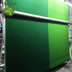 <span class=keywords><strong>Alfombra</strong></span> de fútbol natural de la mejor calidad, <span class=keywords><strong>semillas</strong></span> de césped para cancha de fútbol, césped sintético artificial para cancha deportiva - Product Image 2