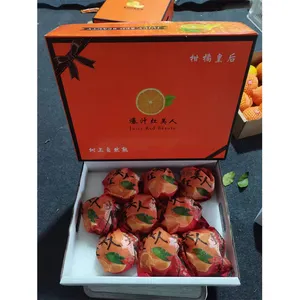 HONG MEI REN Juicy Fruit Fresh Fruit China Mandarin Orange Price