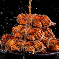 Crabe femelle entier précuit surgelé avec une riche pâte rouge marinée au vin de Shaoxing Hua Diao