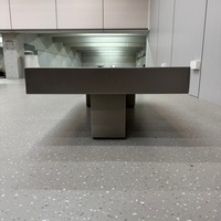 Table basse minimaliste en acier inoxydable, revêtement anti-traces de doigts, silhouette en bloc, fabrication sans joint, base double socle robuste