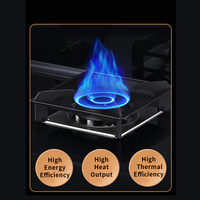Kompor Terpadu 3-in-1 Berkualitas Tinggi untuk Dapur Rumah, Kompor Gas Terpadu Multi-Fungsi dengan Oven