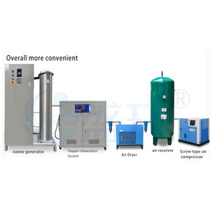 Générateur d'ozone à haute concentration de source d'oxygène pour le traitement de décoloration de l'eau de lavage du denim en acier inoxydable SHUIAO 500G/H - Product Image 4