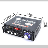 Équipement de production de musique VA-GF600 Mini petit amplificateur de puissance haut-parleur carte d'amplificateur de puissance U radio DC 12V 220V amplificateur de puissance