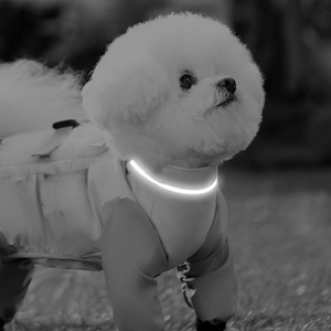 Combinaison imperméable réfléchissante pour animaux <span class=keywords><strong>de</strong></span> compagnie, anti-poussière, avec pieds antidérapants, <span class=keywords><strong>en</strong></span> tissu Oxford, pour chiens et chats - Utilisation <span class=keywords><strong>en</strong></span> extérieur toutes saisons - Product Image 3