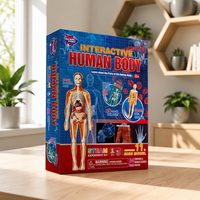 Kit d'apprentissage ODM/OEM BIG BANG SCIENCE : Fabricant de kits de démonstration du corps humain pour l'observation de la structure corporelle en classe