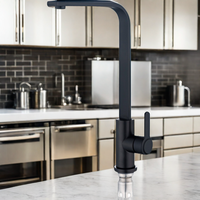 Robinet thermostatique à tube plat carré Robinet mitigeur d'eau froide et chaude en acier inoxydable pour salle de bain et cuisine