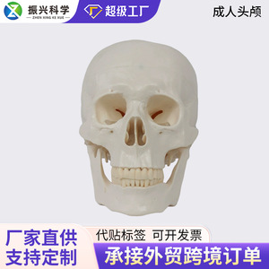 20*14.5*17.5CM - Product Image 5