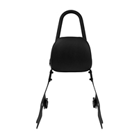 Sissy bar arrière amovible pour moto, dossier de passager incurvé en acier épais pour Harley Sportster XL 883 1200 2004-2022