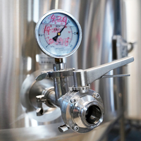 Cuve de fermentation Manway à double paroi en acier inoxydable, équipement de bière pression 300L pour Nano Brewery Brewpub