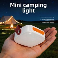 Lampe de camping LED d'extérieur, solaire et rechargeable par Type-C, mini portable, indice IP44, batterie au lithium, garantie 2 ans
