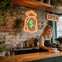 Letrero LED de Neón Personalizado al por Mayor con Diseño de Bolsa de Dinero en Contraste Naranja y Verde para Tienda, Cajero, Blogger Financiero, Luz Temática de Fortuna